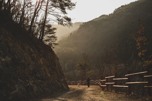 도요는 겨울, 마음은 봄