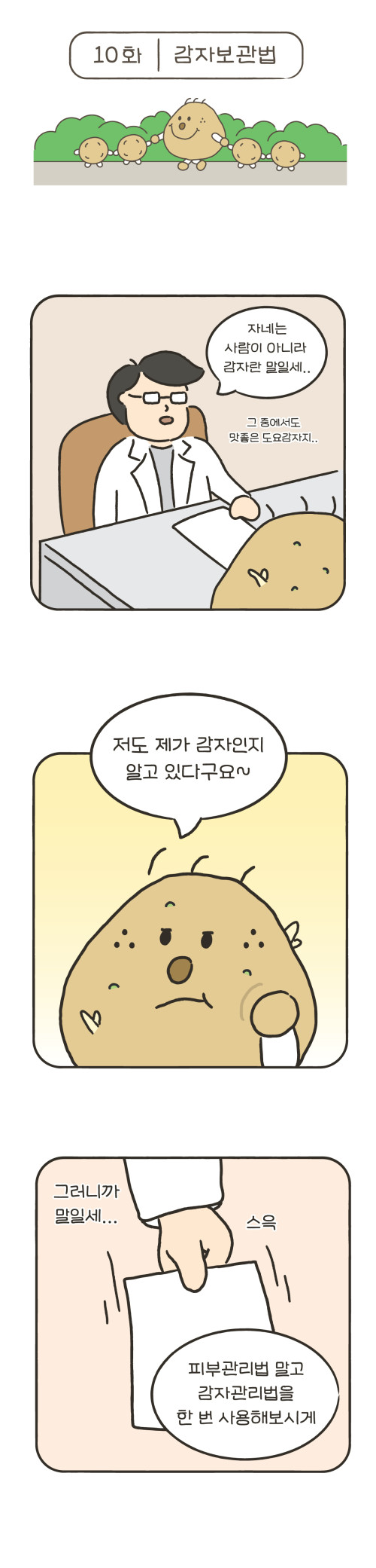 10화 감자보관법